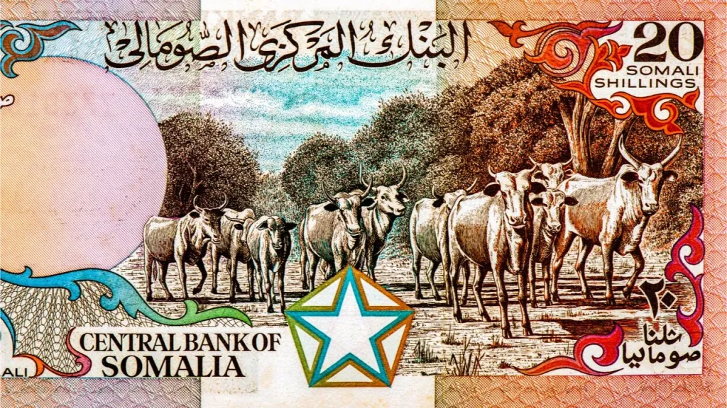 أسعار الشلن الصومالي مقابل الجنيه المصري بداية تعاملات اليوم الجمعة 22 - 8- 2025